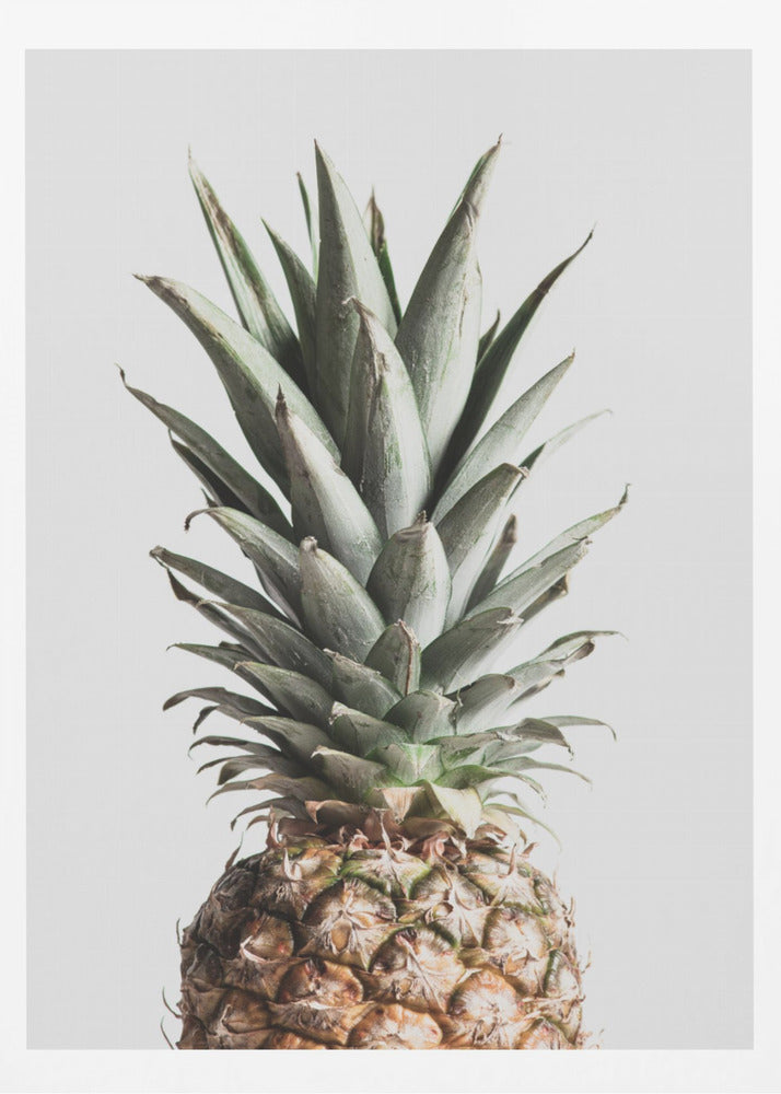 Ananas Naturalny | Plakaty - Wydruki Artystyczne