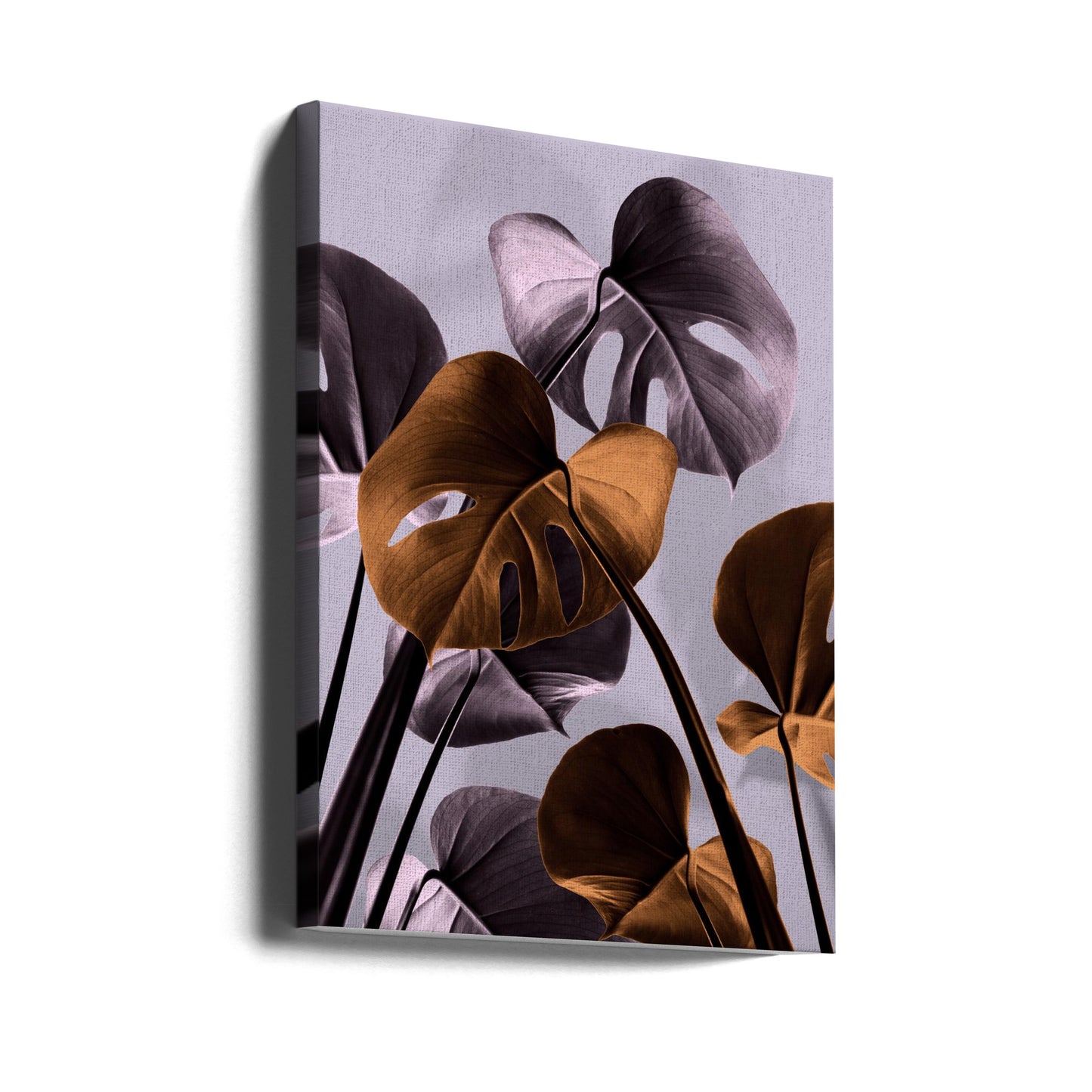 Monstera Purple 01 | Canvas