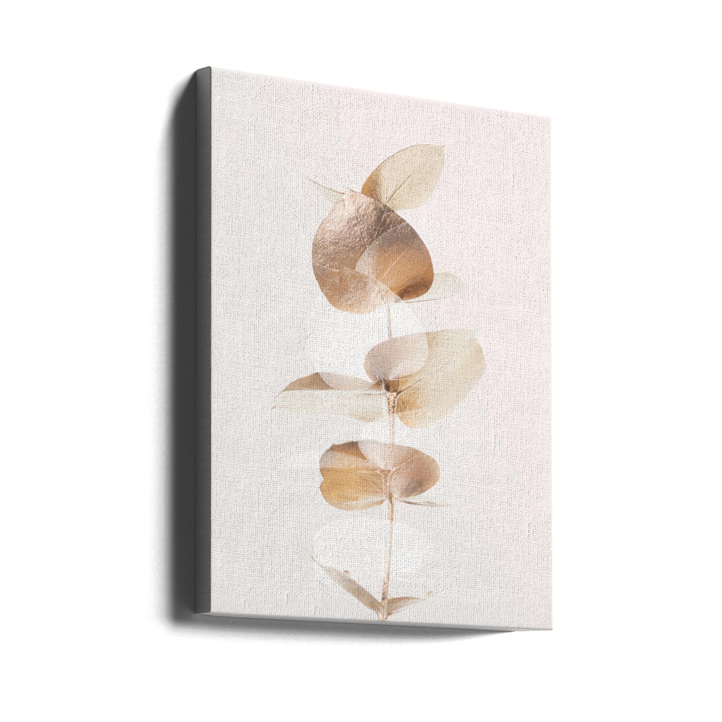 Eukalyptus Creative Gold 04 | Leinwand-Bilder