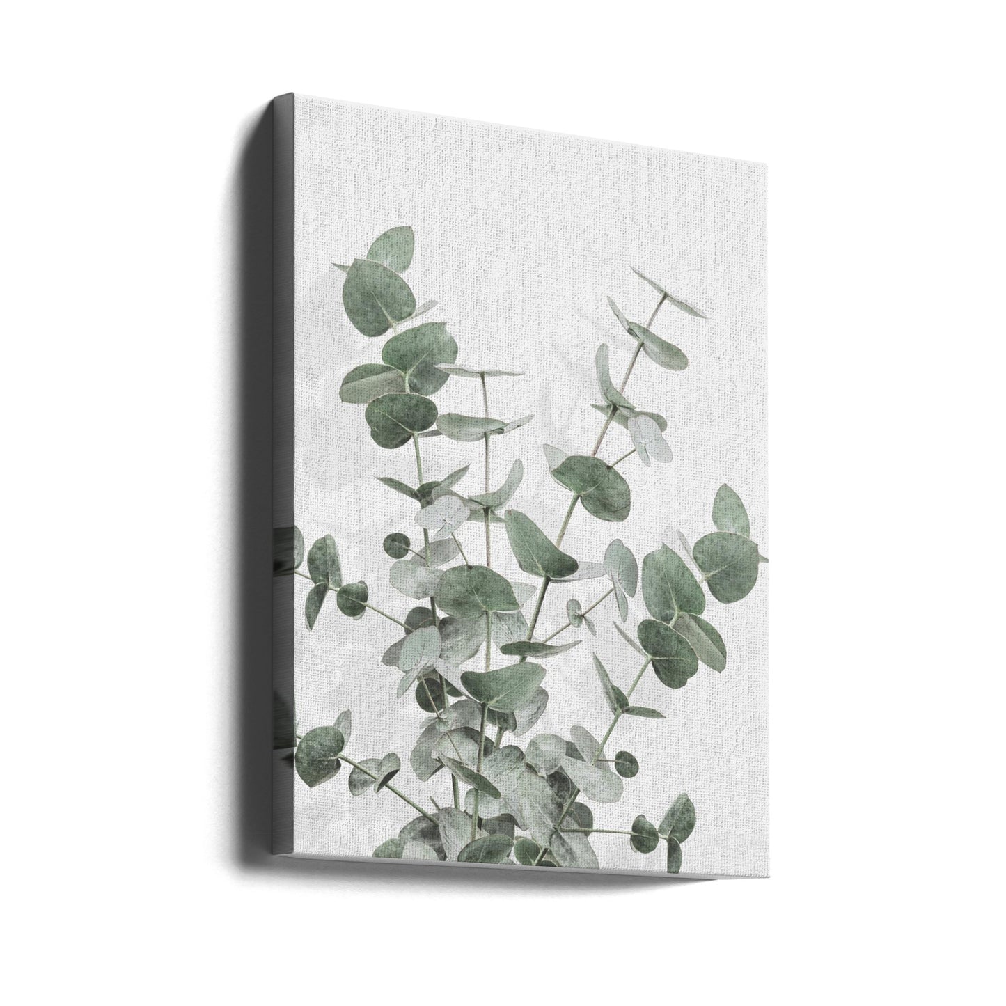 Eukalyptus Kreativitet 16 | Canvas