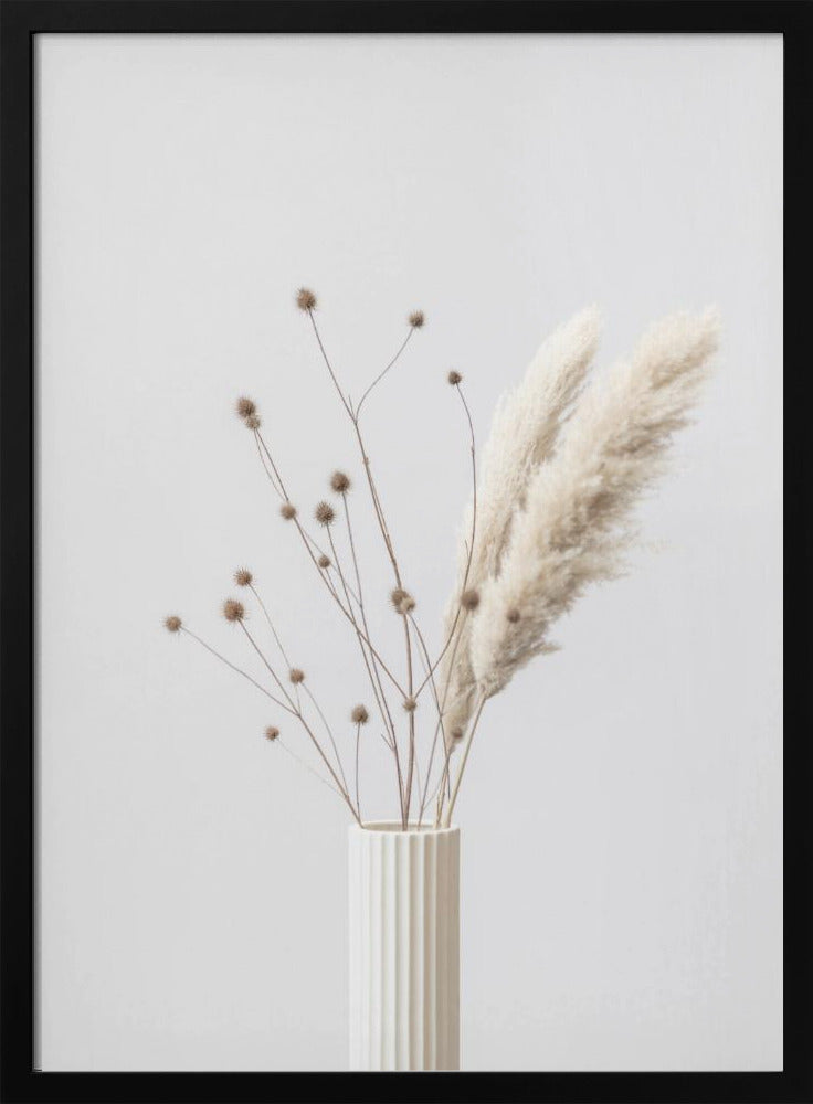 Thistle &amp; Pampas 01 | Poster