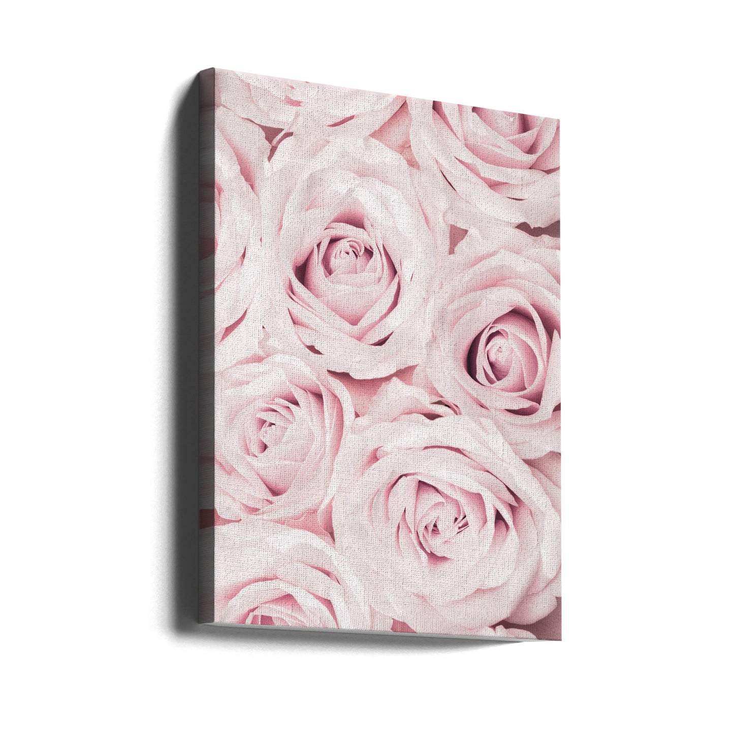 Rosa rosor nr 02 | Canvas