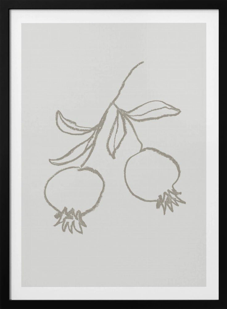 Pomegranate Green | Poster