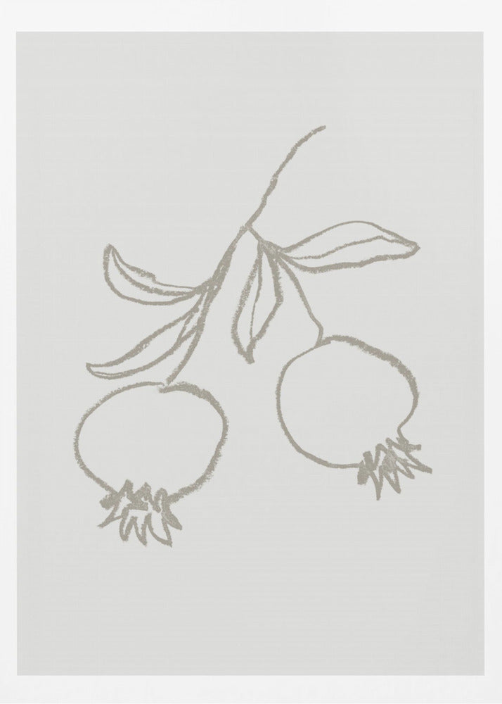Pomegranate Green | Poster