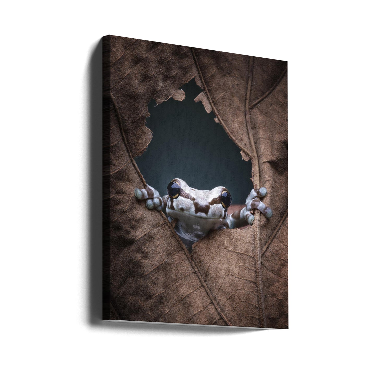 hello... | Canvas