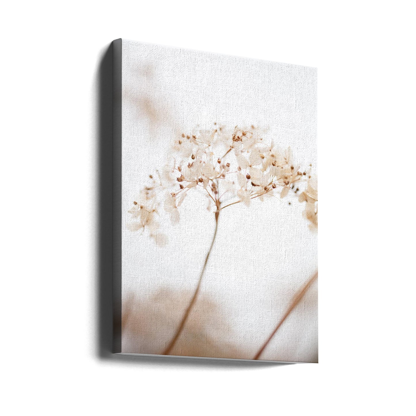 Mjuktorkade blommor_bruna | Canvas