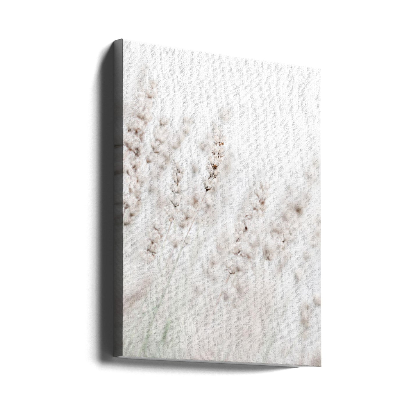 Grässtrån | Canvas