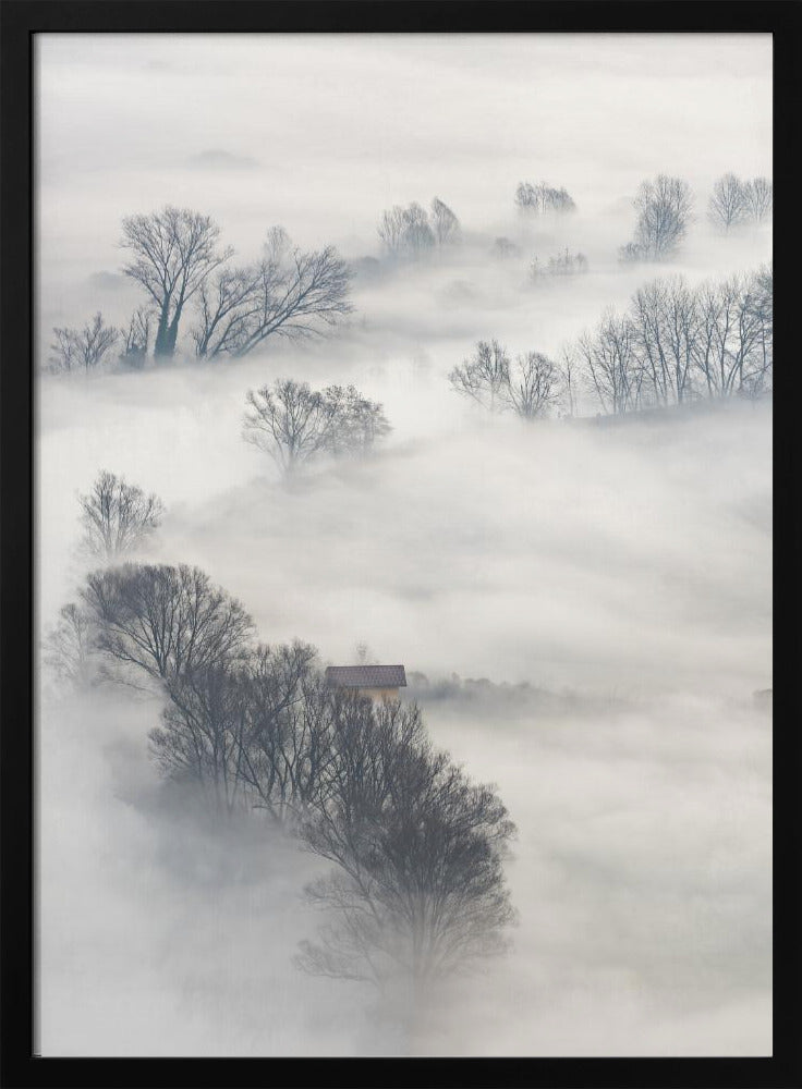 Trees in the fog | Poster