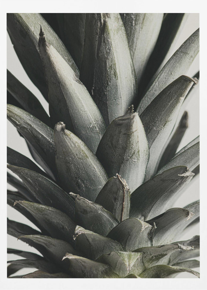 Pineapple close up | Poster