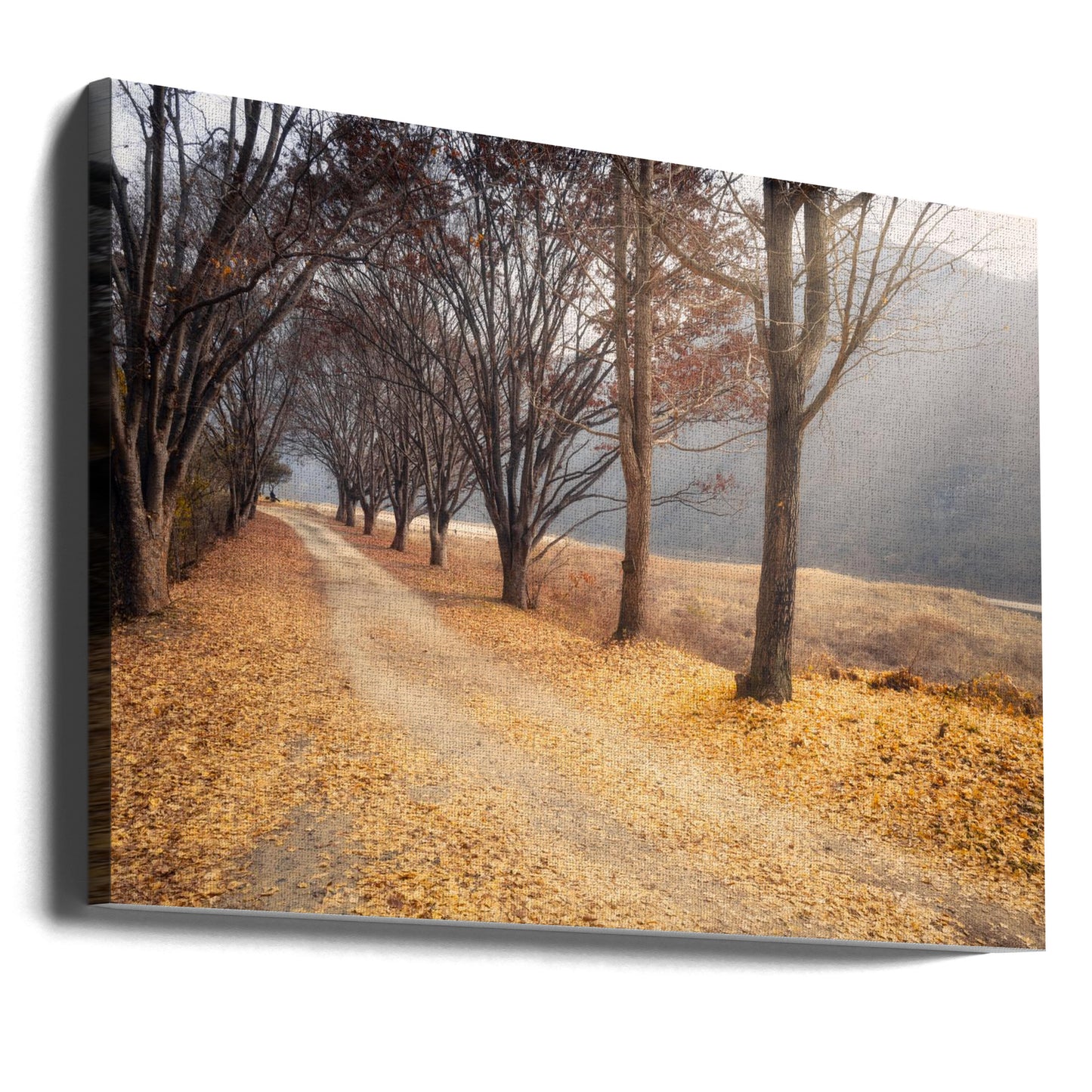 Midden in de herfst | Canvasprints