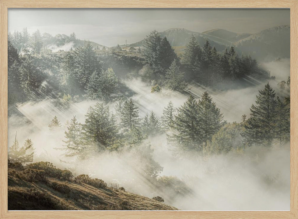 Silver White Winter that Melts into Spring | Poster