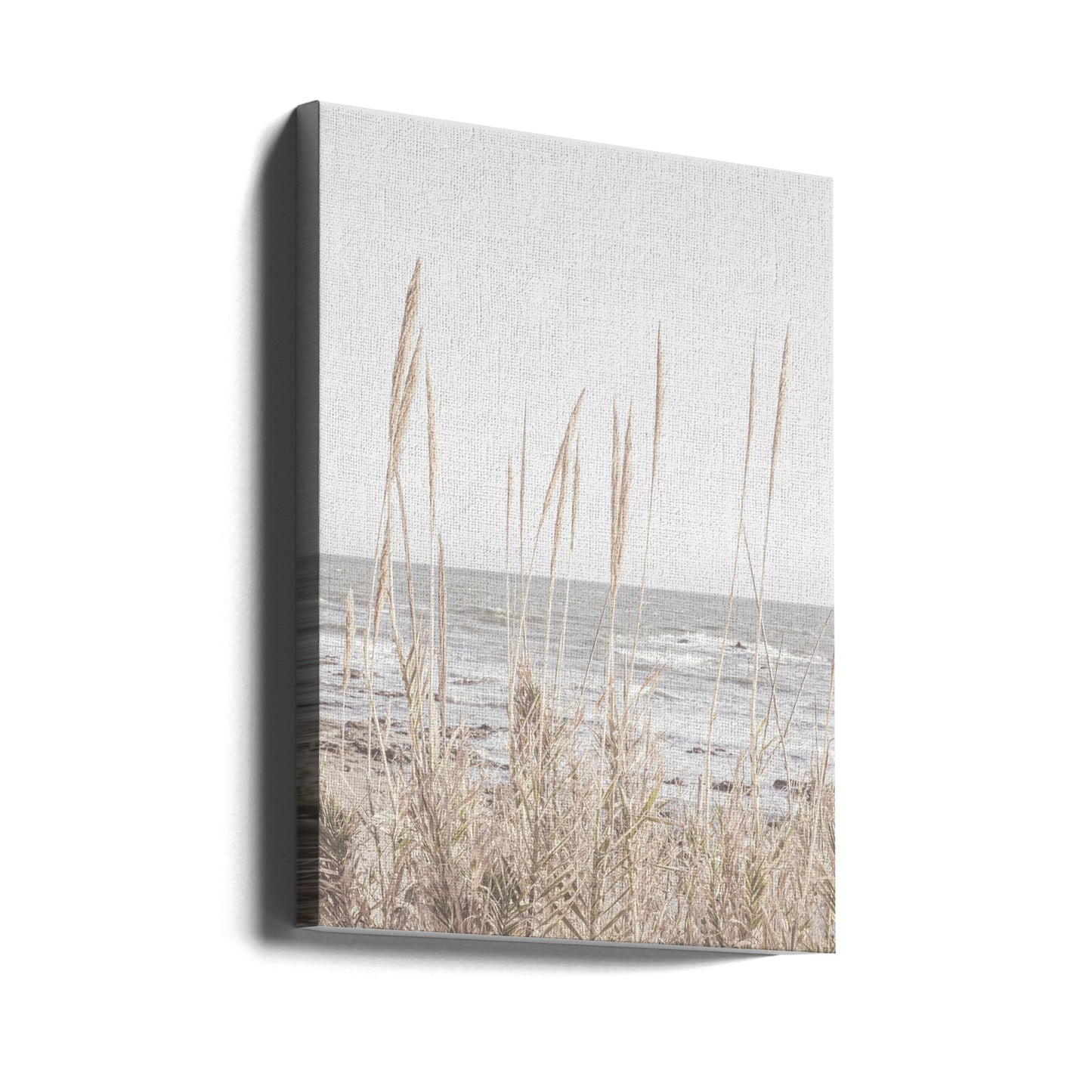 Beach_Vass_001 | Canvas