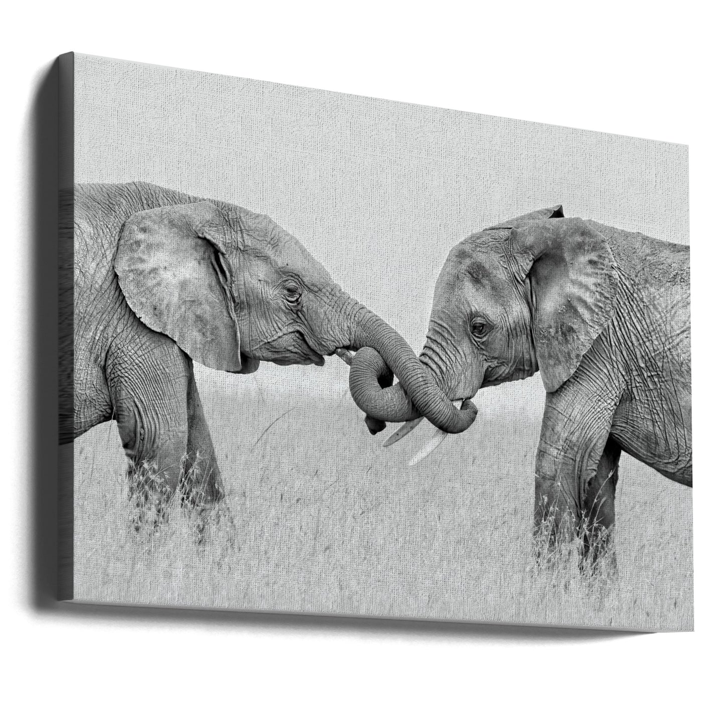 Confrontatie | Canvasprints