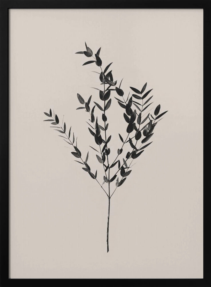 Tintenfarbenes Botanisches | Poster - Kunstdruck