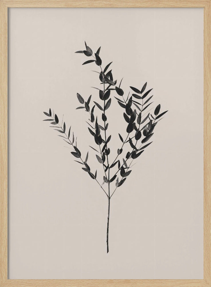 Tintenfarbenes Botanisches | Poster - Kunstdruck