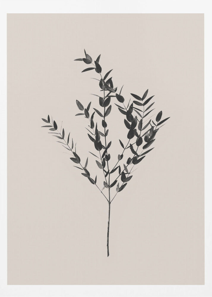Tintenfarbenes Botanisches | Poster - Kunstdruck