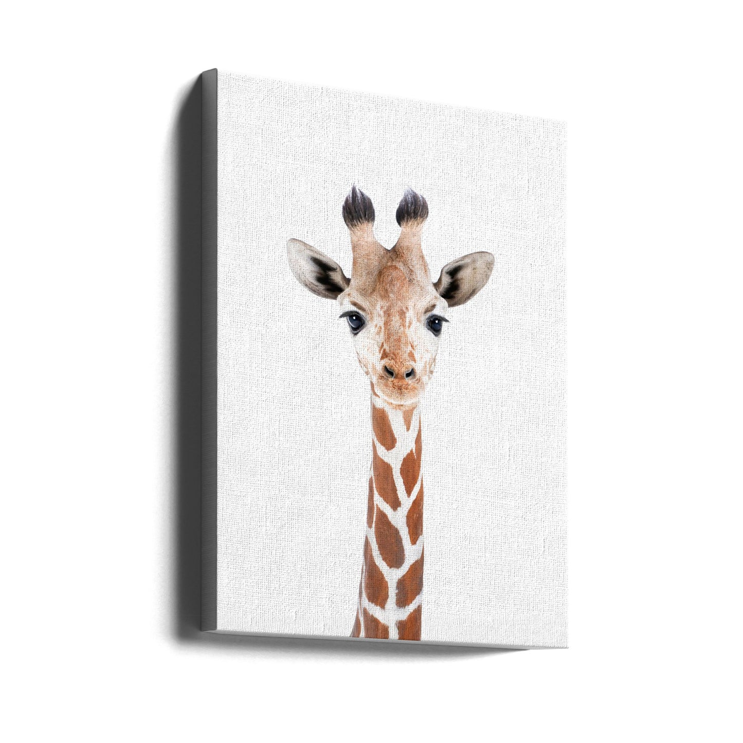 Bébé girafe | Tableaux sur Toile
