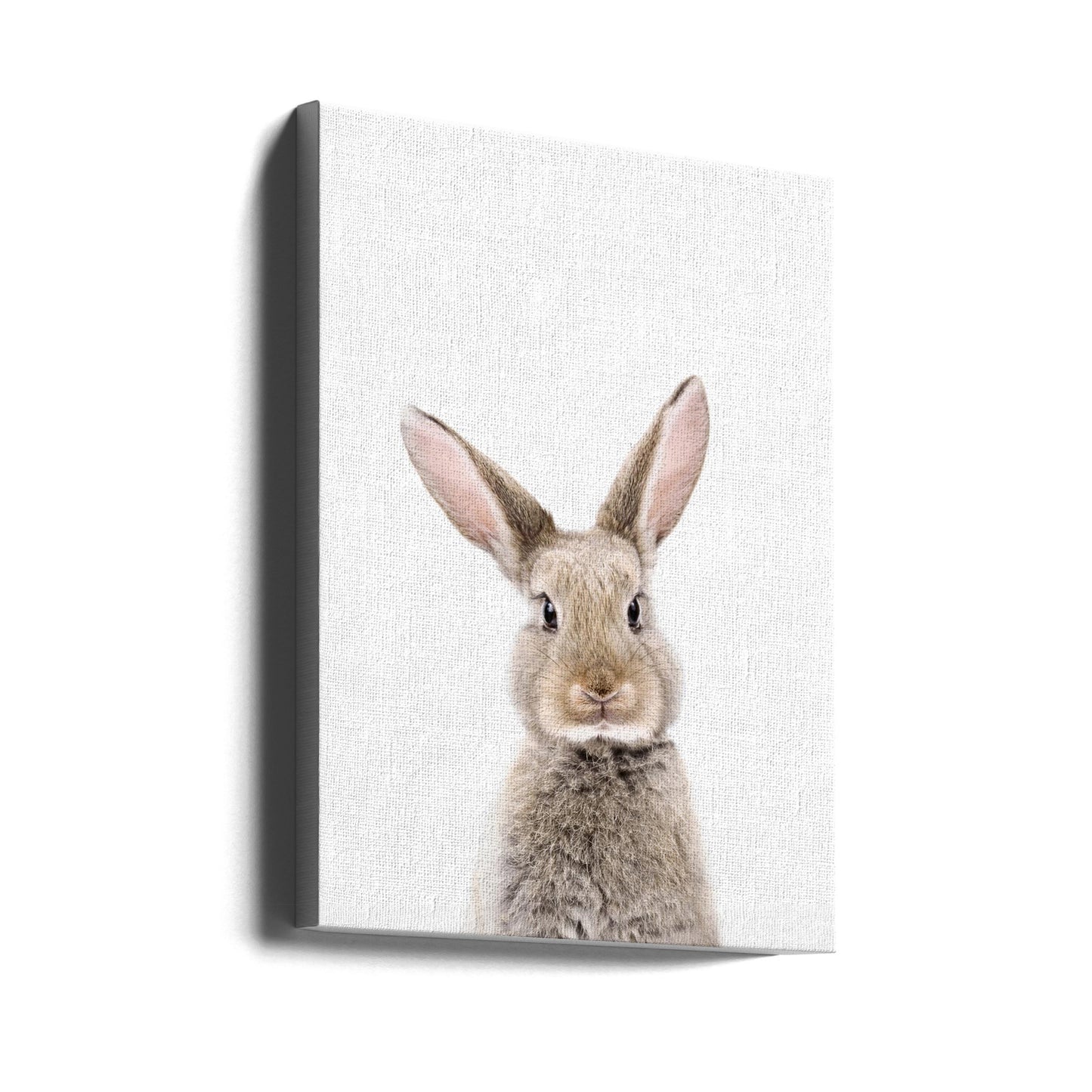 Baby Konijn | Canvasprints