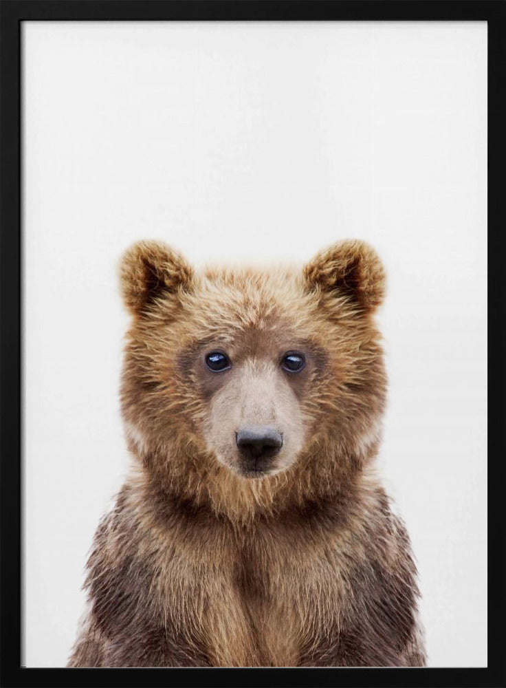 Babybär | Poster - Kunstdruck