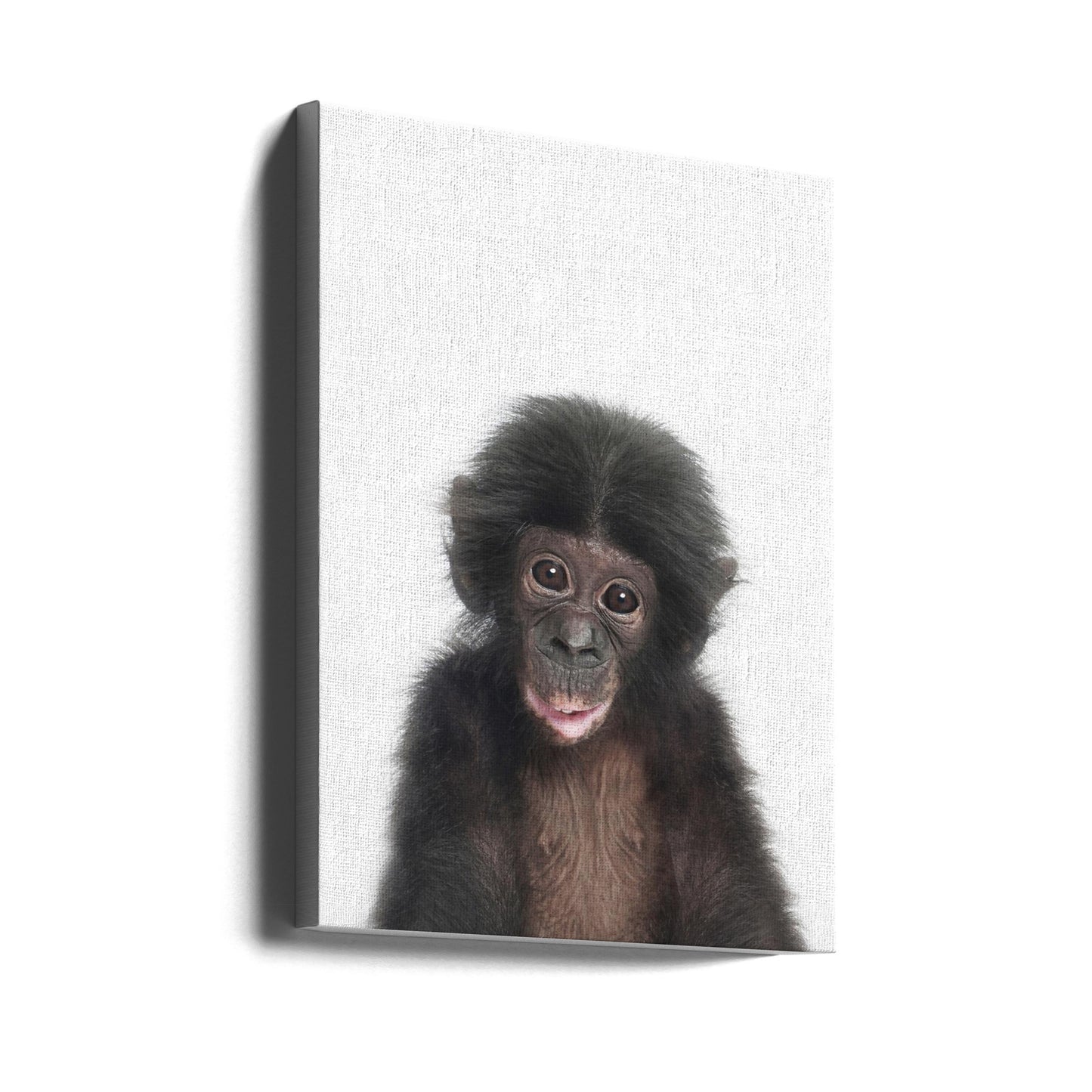 Baby Monkey | Canvas