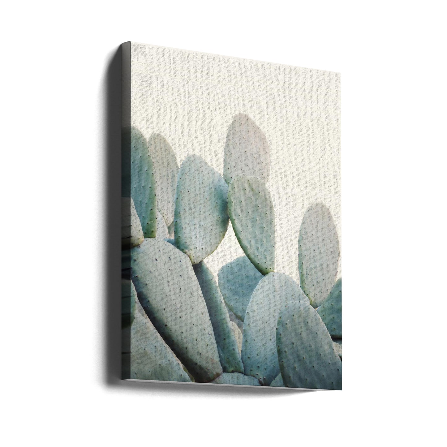 Pastel Cacti | Canvas