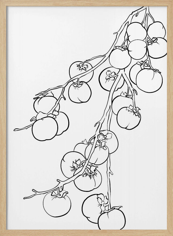 Zweig der Kakis | Poster - Kunstdruck