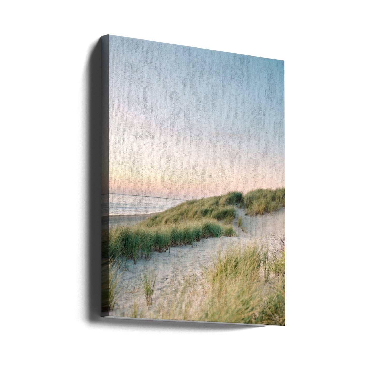 Dunes hollandaises | Tableaux sur Toile