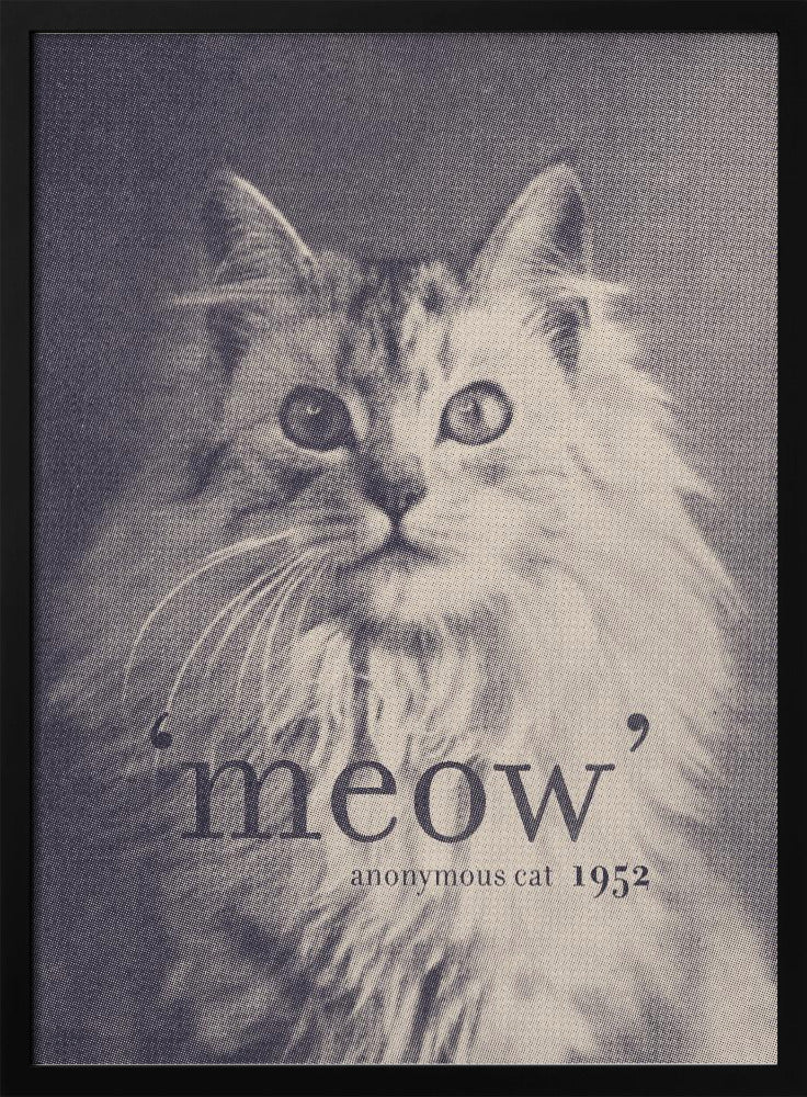 Berühmtes Zitat Katze | Poster
