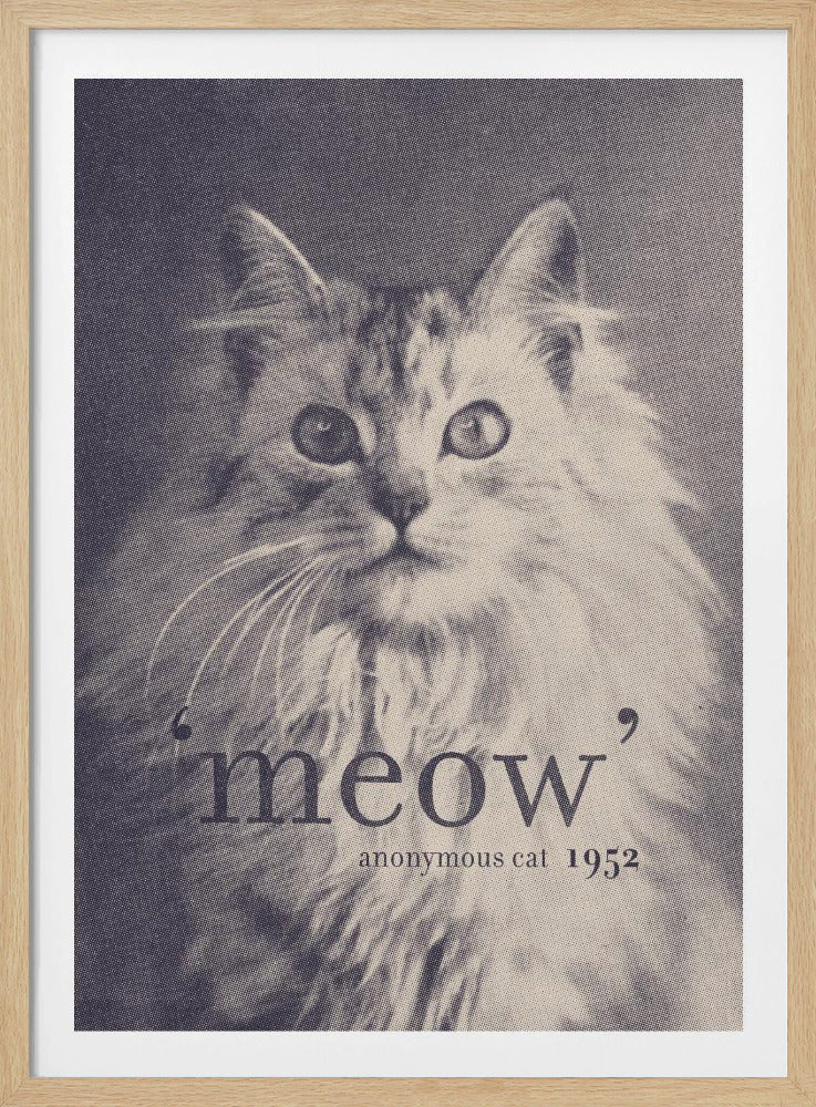 Berühmtes Zitat Katze | Poster