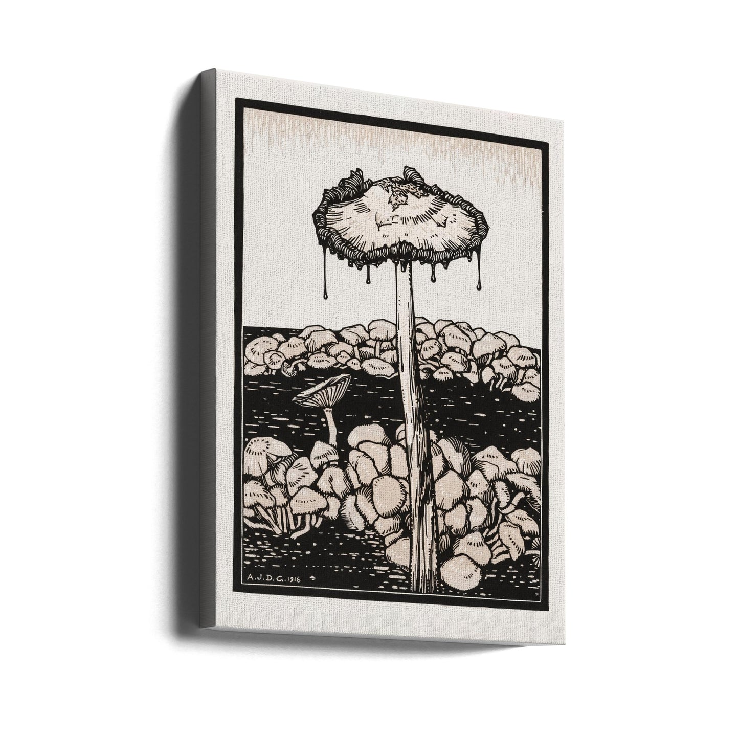 Dripping Mushroom 1916 | Canvas