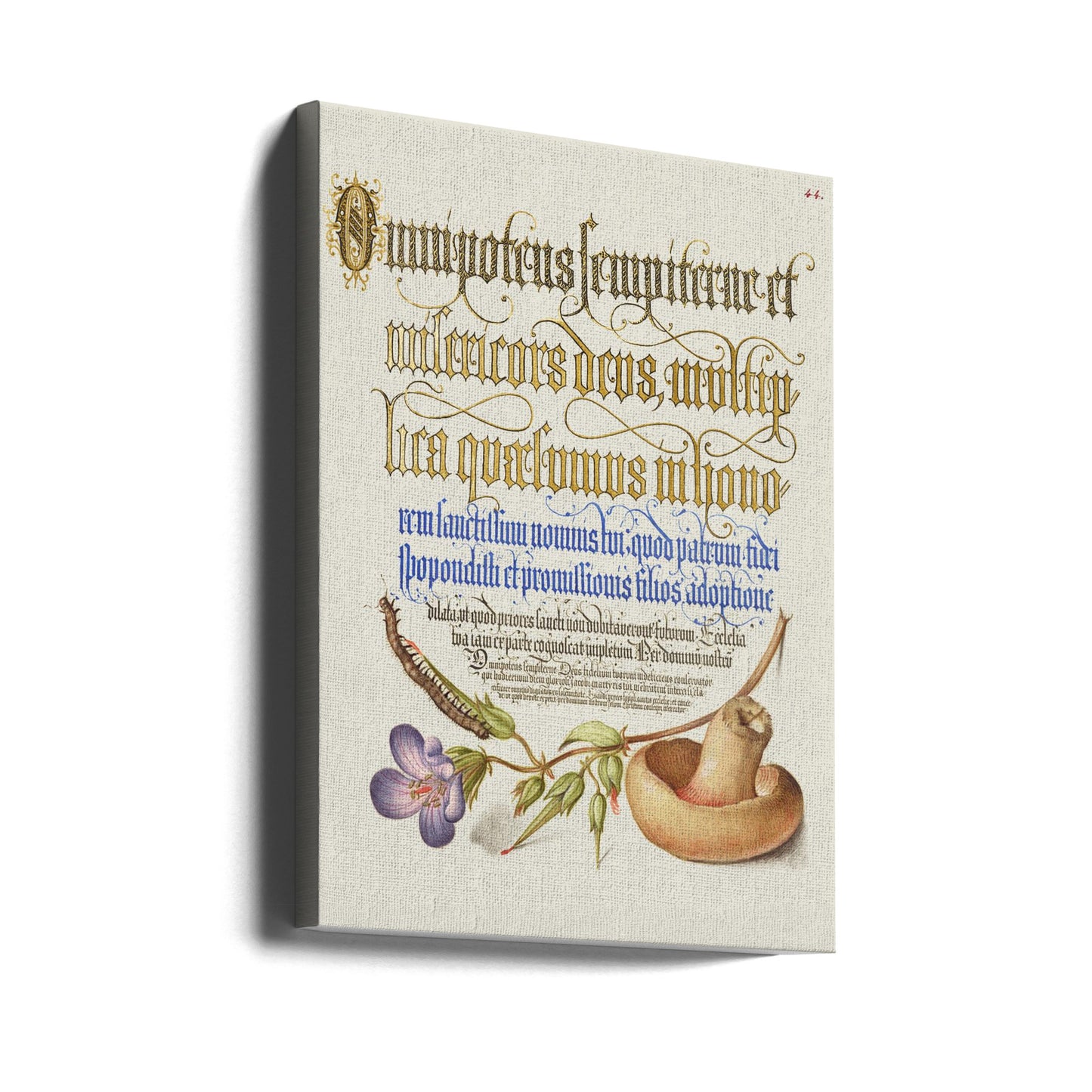 Mushroom Poster | Canvas