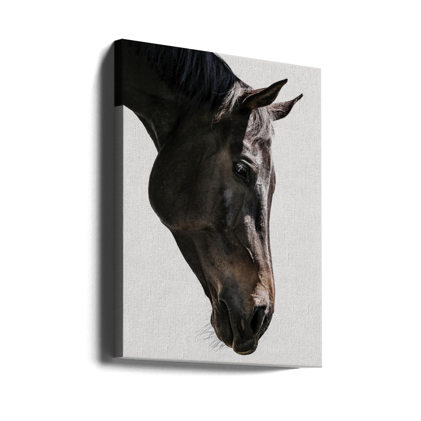 Bingo | Canvas