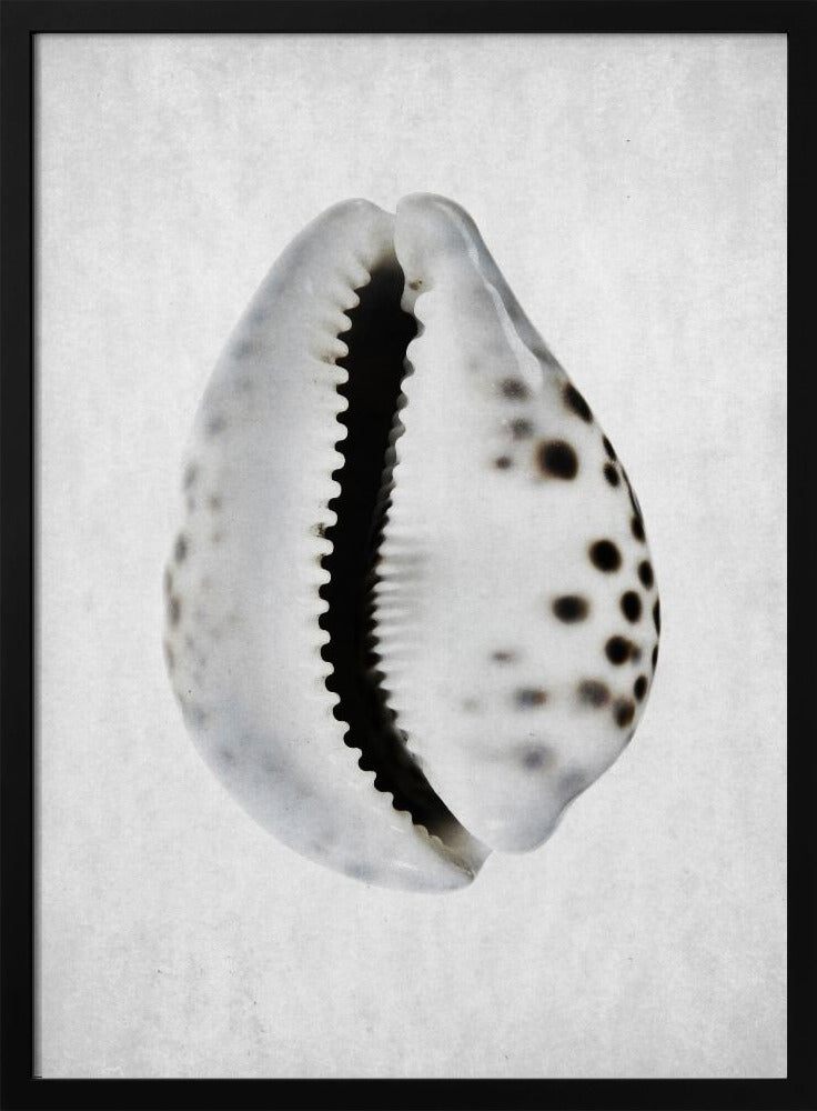 Spring Tide | Poster