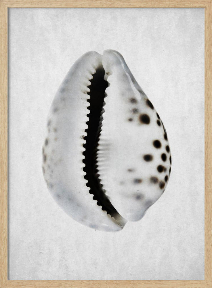 Spring Tide | Poster