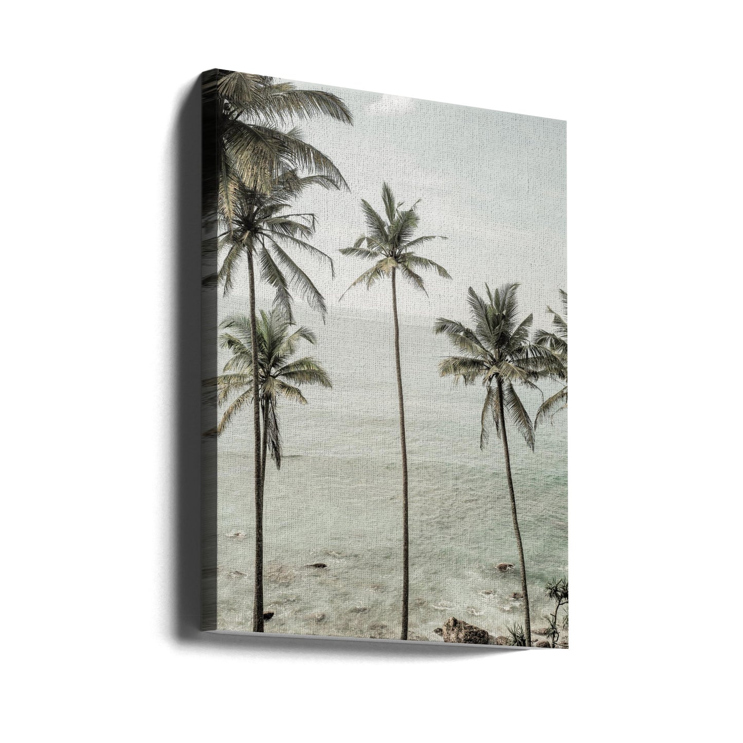 Tropical Dreams | Canvas