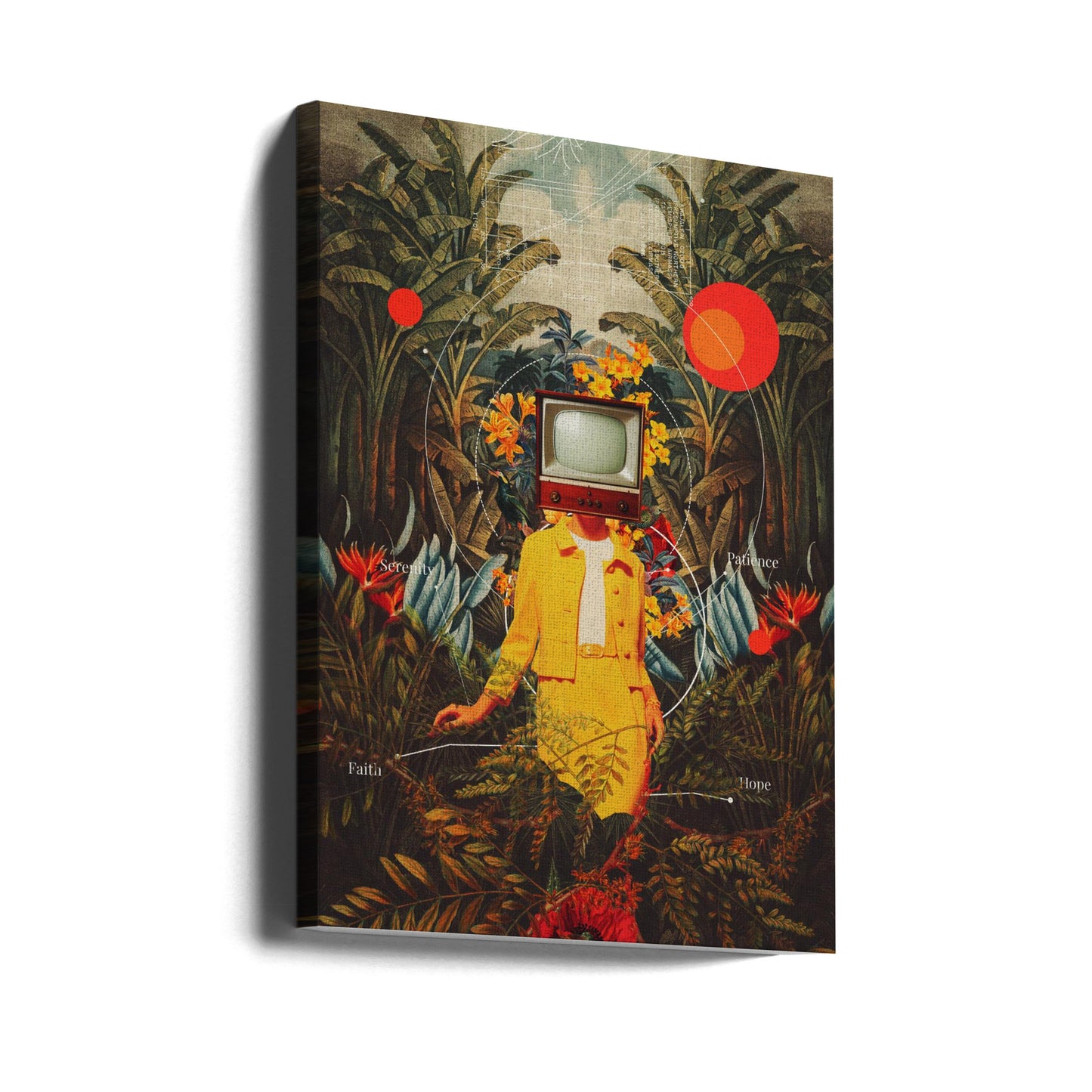 She Came From the Wilderness | Canvas