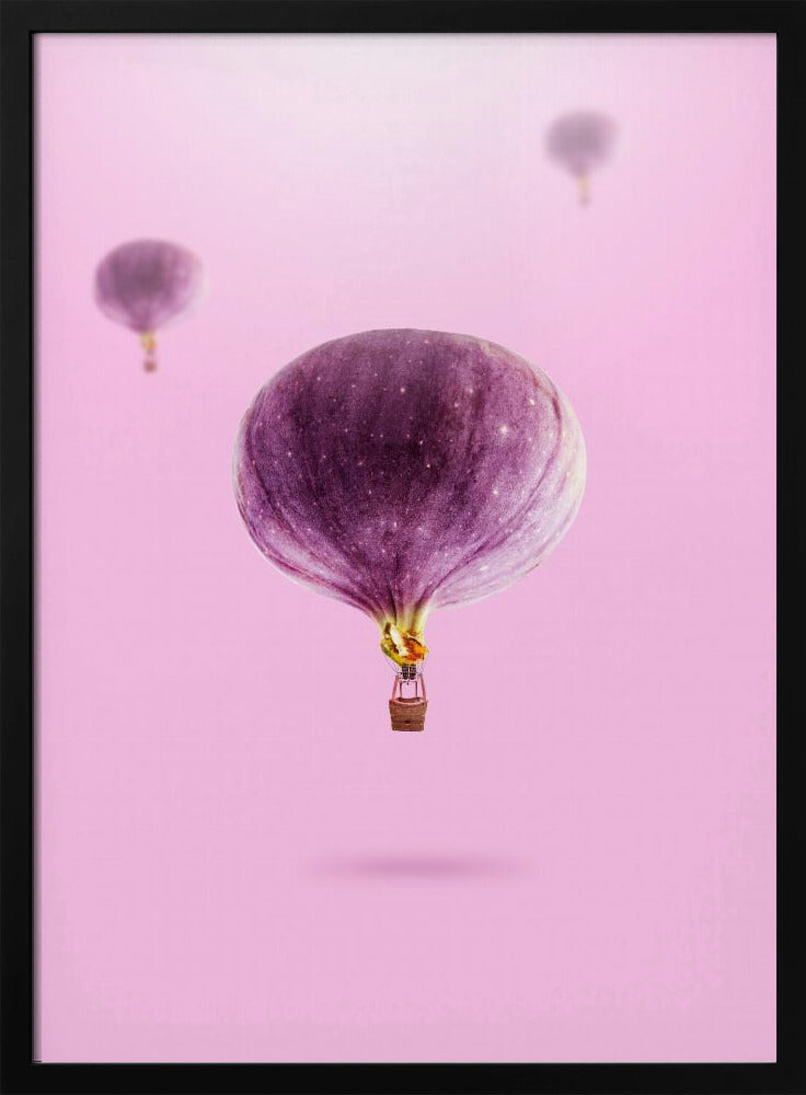 Feigenballons | Poster - Kunstdruck