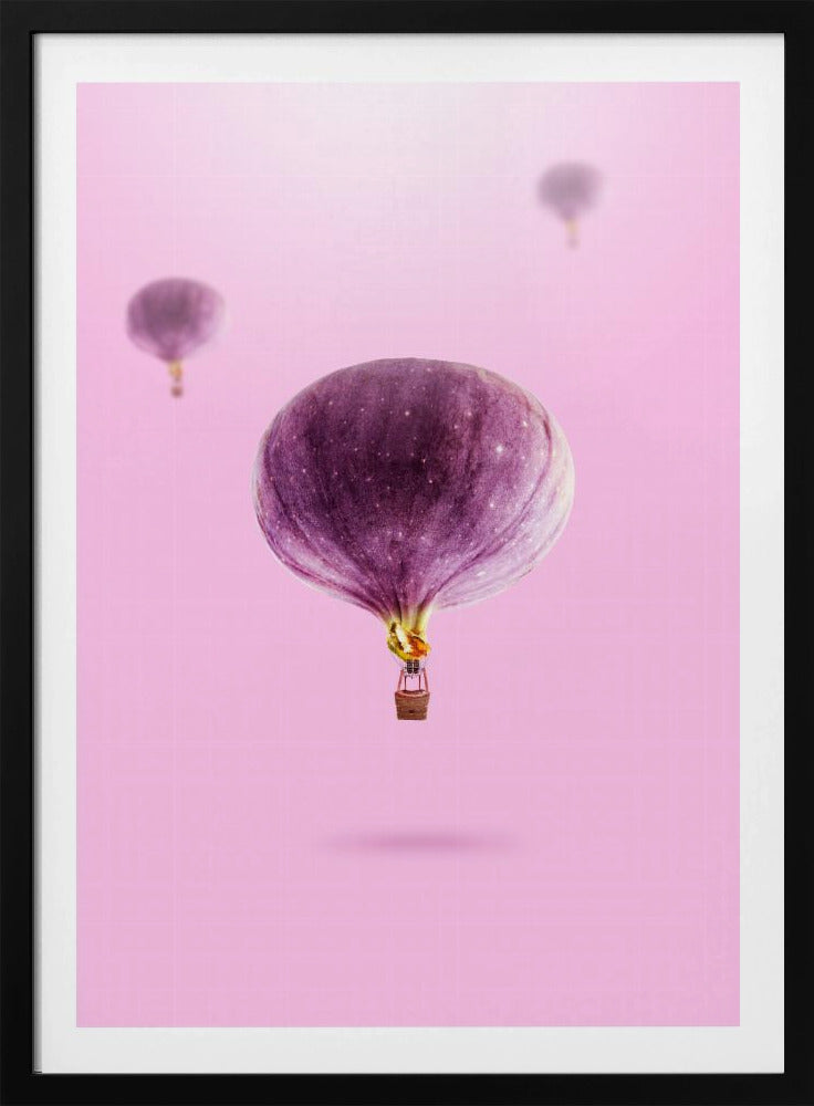 Feigenballons | Poster - Kunstdruck