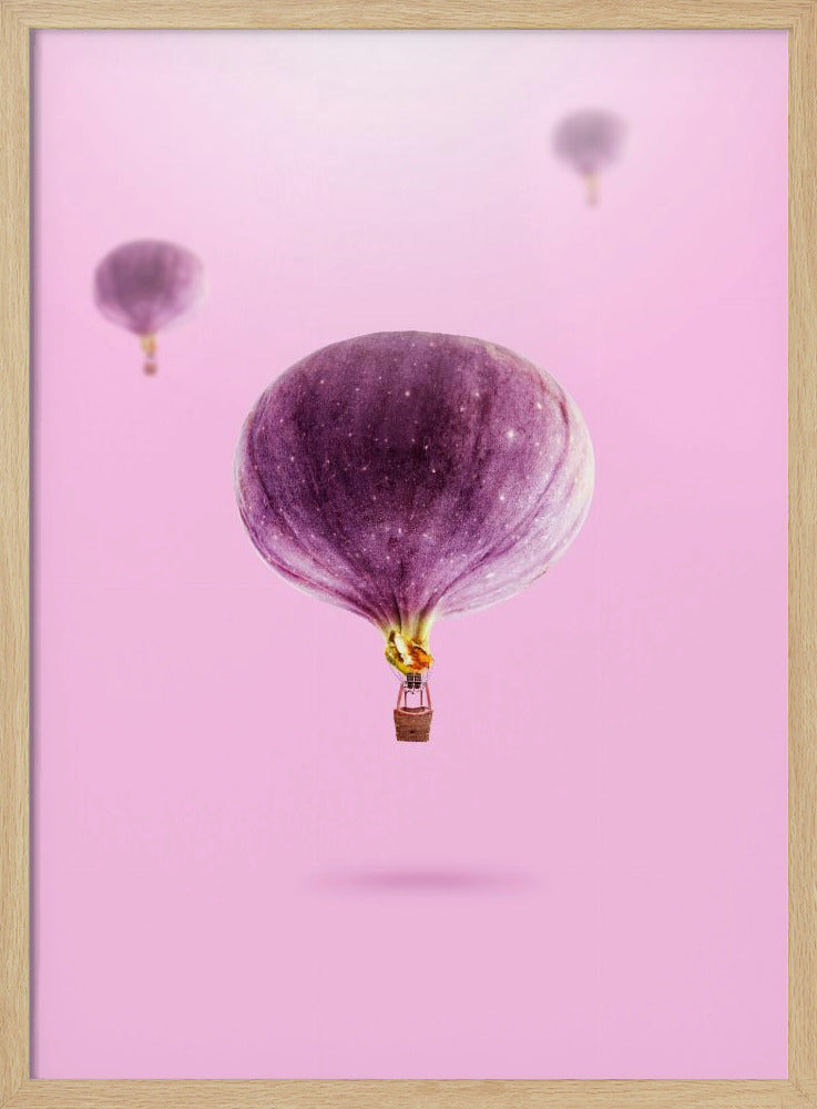 Feigenballons | Poster - Kunstdruck