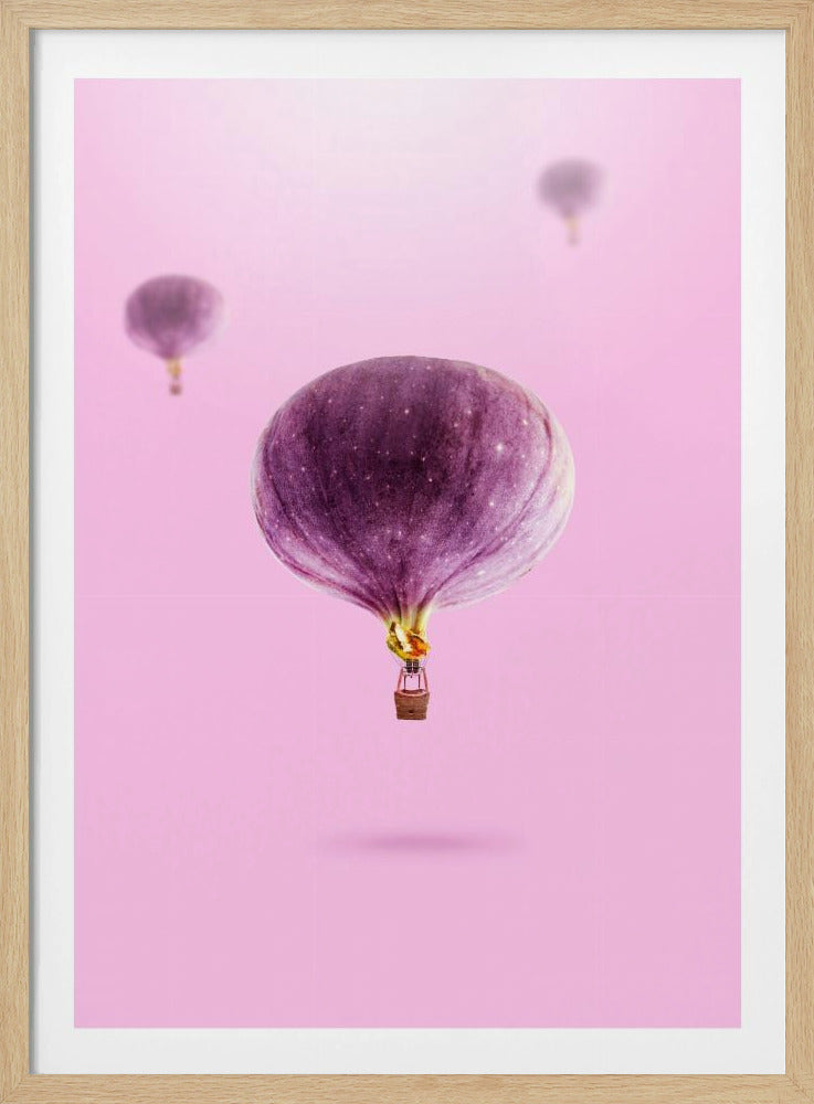 Feigenballons | Poster - Kunstdruck