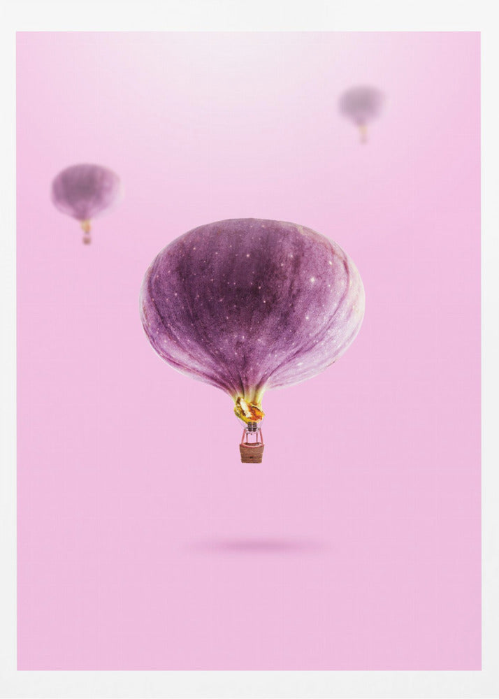 Feigenballons | Poster - Kunstdruck
