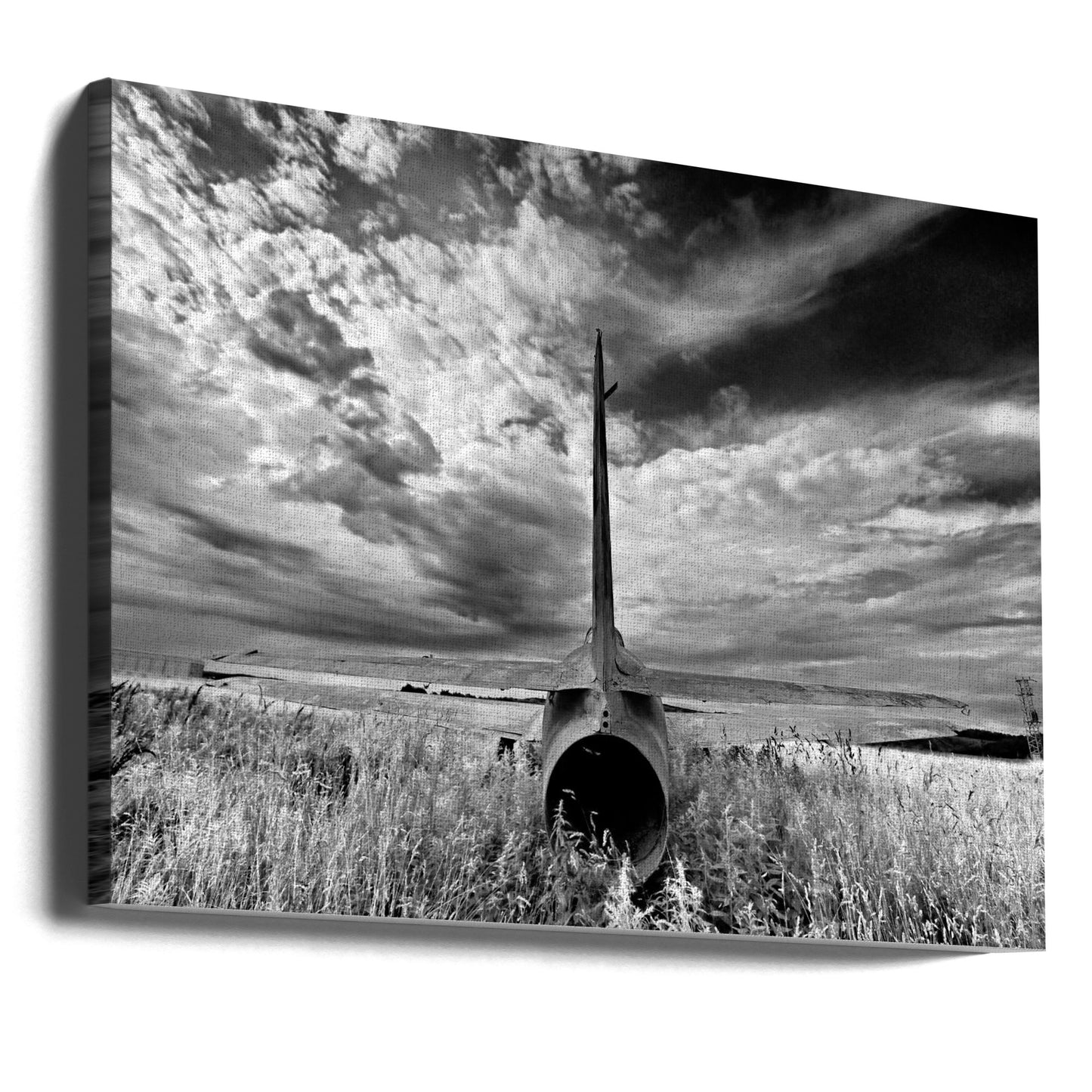 Schwanz | Leinwand-Bilder