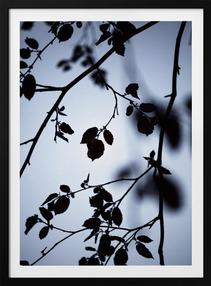 Morgengrauen | Poster