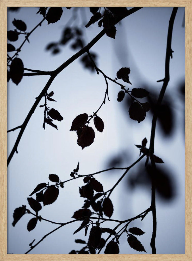 Morgengrauen | Poster