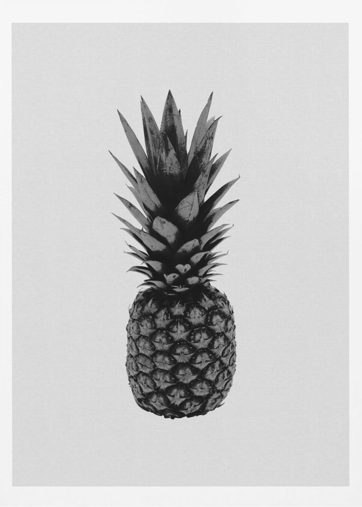 Pineapple Black & White | Poster