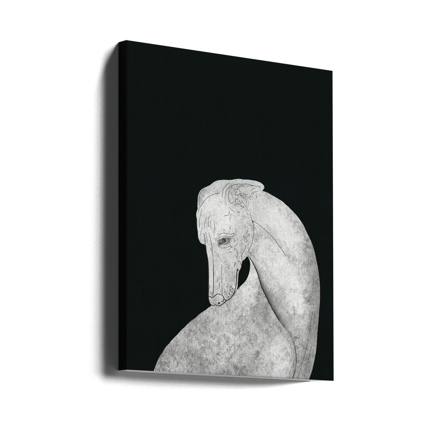 Lévrier noir et blanc | Tableaux sur Toile