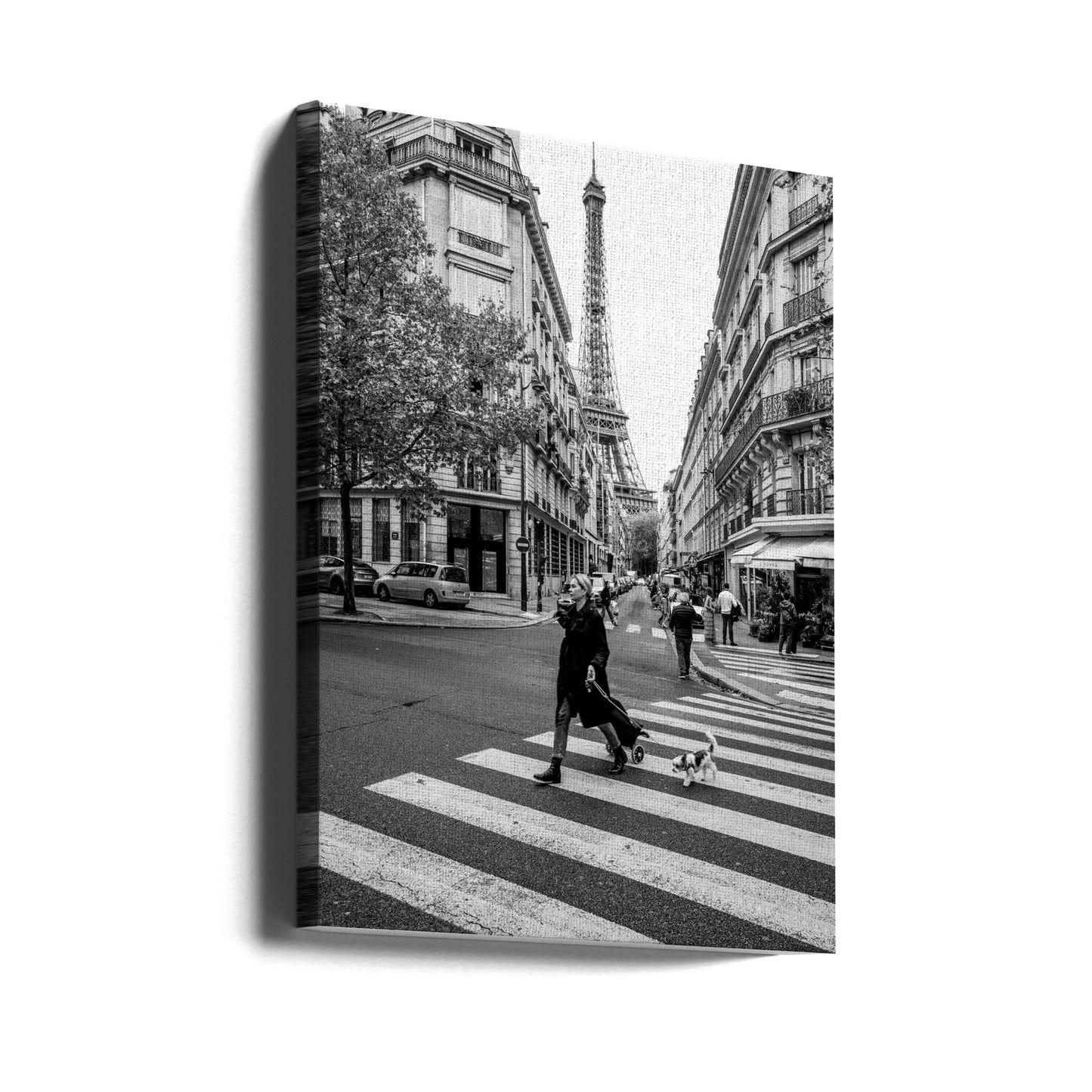 Walking the dog | Canvas