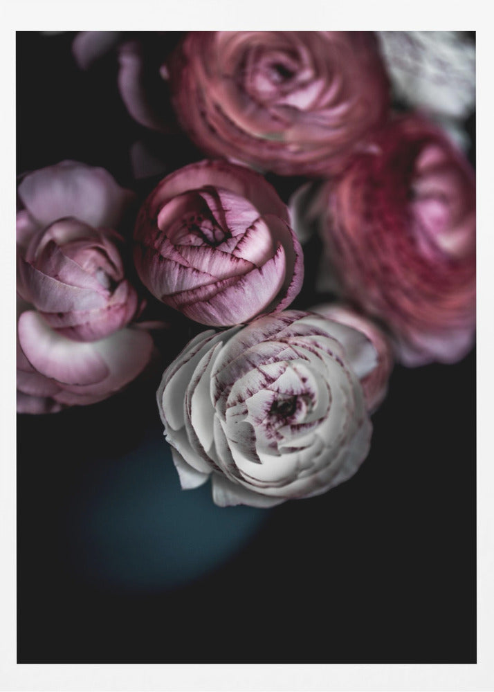 Mörka blommor 2 | Poster