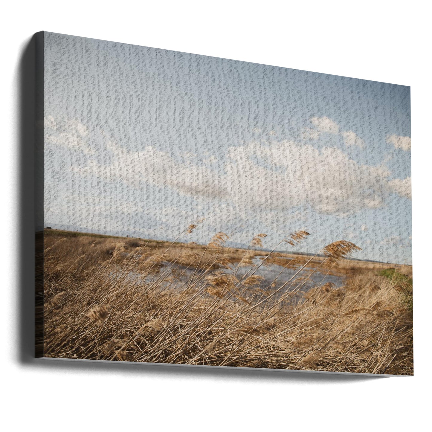 Marshland No.6 | Canvas