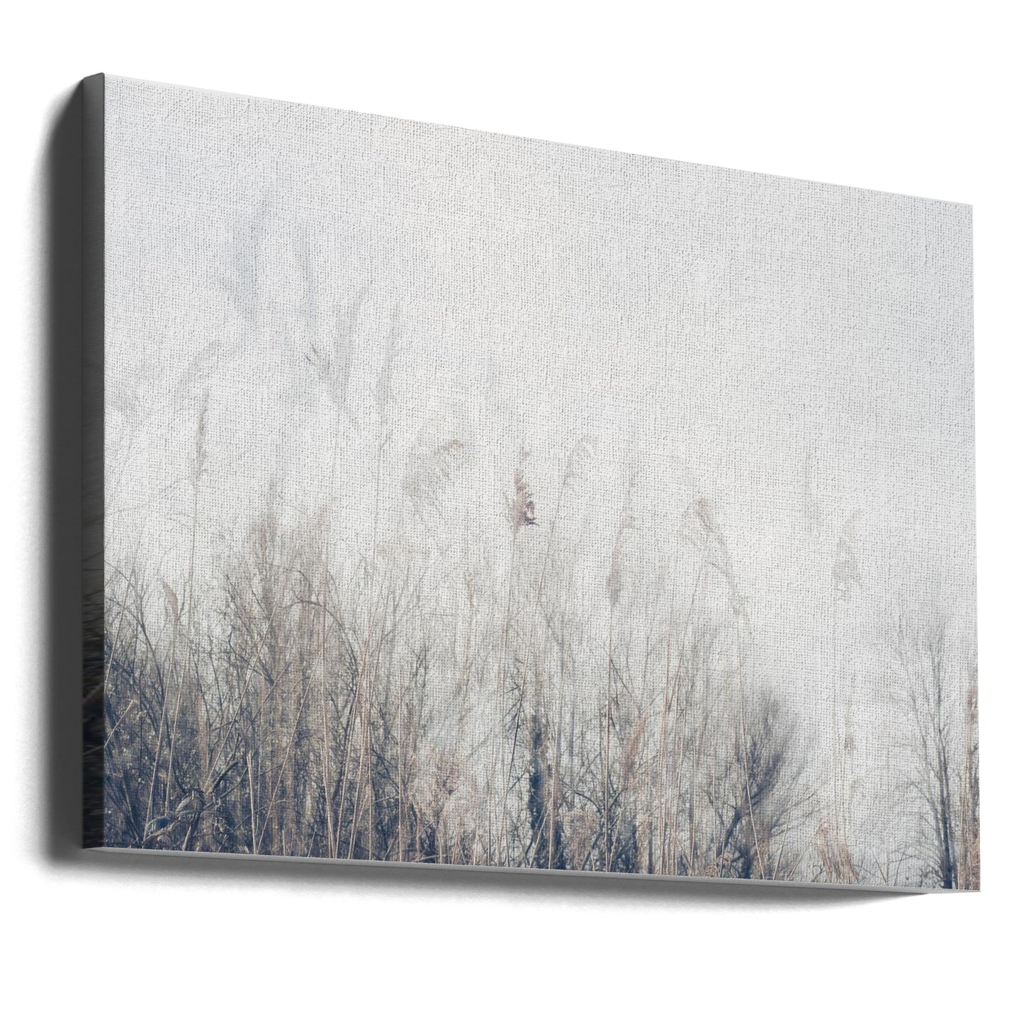 Landscape of reeds and grass | Canvas
